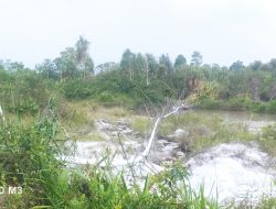 Krusial: Dampak Lingkungan Diduga Akibat Pembiaran Aktivitas Tambang pasir Ilegal Di kabupaten Bintan