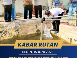 Rutan Batam Tebar 200 Bibit Ikan Gurame, Dukung Ketahanan Pangan dan Pemberdayaan Warga BinaanBatam