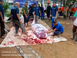 Sambut Idul Adha, Lapas kelas II A Tanjungpinang Menyembelih 9 Ekor Hewan Kurban.