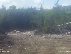 Tambang Pasir Ilegal Di kampung Wacopek Meluluh Lantakkan kawasan Hutan