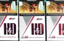 Rokok Ilegal Merek H&D Banjiri Tanjungpinang, Negara Rugi Miliaran
