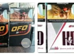 “Miliaran Rupiah Raib, Rokok Ilegal H&D–OFO Disebut Dikendalikan Rosano”