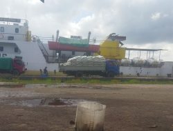 Sabuk Nusantara 36 Diduga Angkut Komoditas Impor Tanpa Dokumen Karantina ke Natuna