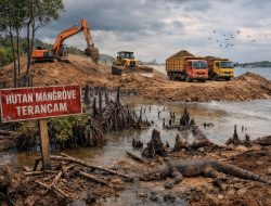 PT Gandasari Diduga Biang Kerok Rusaknya Ekosistem Mangrove, APH dan Instansi Terkait Dinilai Diam