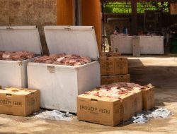 Rumah di Tokojo Bintan Timur Diduga Jadi Gudang Daging Beku Tanpa Izin