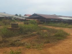 Kanwil Direktorat Jenderal Imigrasi Kepri Amankan Dokumen 10 WNA Asal China di Tobong Bata Tarera Mas Dompak