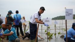 Hari Mangrove Sedunia 2026, Koarmada I Dukung Pelestarian Ekosistem Mangrove 