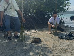 PT Ecogreen Oleochemicals Batam Perkuat Komitmen CSR, Tanam 1.000 Mangrove hingga Dukung Pendidikan dan Kesehatan Warga Kepulauan
