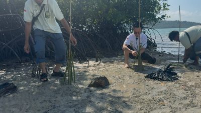 PT Ecogreen Oleochemicals Batam Perkuat Komitmen CSR, Tanam 1.000 Mangrove hingga Dukung Pendidikan dan Kesehatan Warga Kepulauan