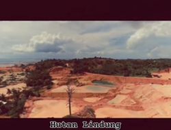 Pematangan Lahan PT Sri Indah di Teluk Mata Ikan Kian Masif, Perizinan dan Dampak Lingkungan Dipertanyakan
