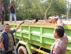 Polda Kepri Bongkar Pertambangan Pasir Ilegal di Batam, Tiga Tersangka Diamankan