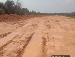 Diduga Babat Kawasan Hutan Lindung, Aparat Diminta Periksa   PT Putra Gautama Jaya 