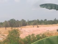 Gakkum KLHK Dan Polda Kepri Diminta Usut Dugaan Pengrusakan Kawasan Hutan Lindung Di Belakang Perumahan Bukit Raya, Kota Batam
